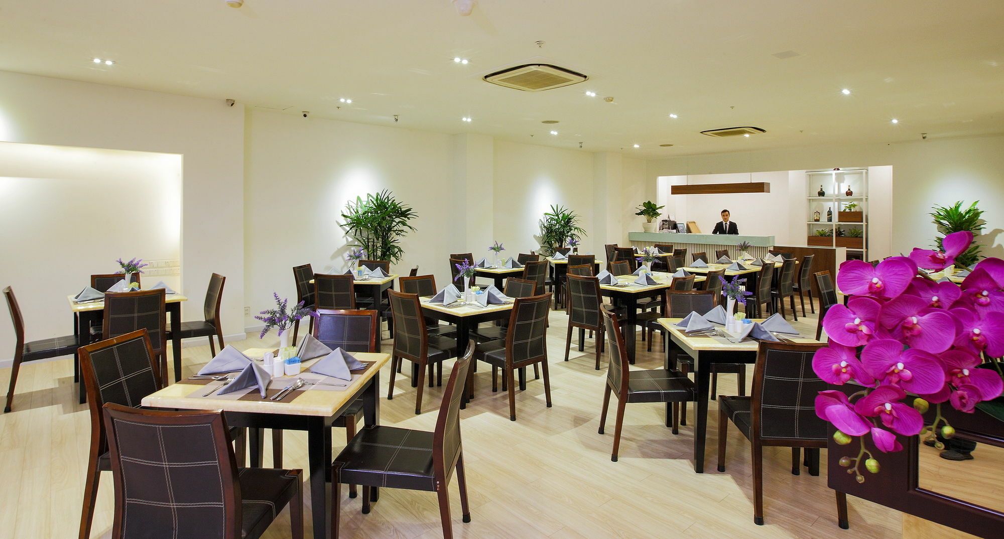 滨城市场薰衣草酒店 胡志明市 外观 照片